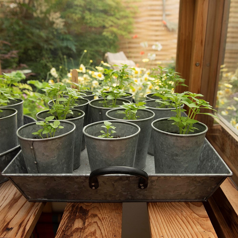 Galvanised metal rectangular tray with blackened handles