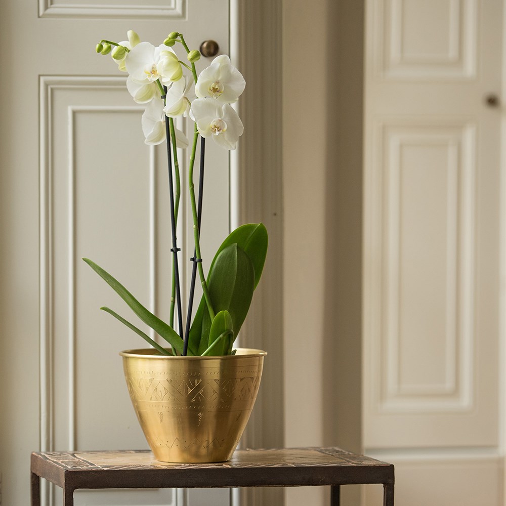 Solid etched brass pot cover