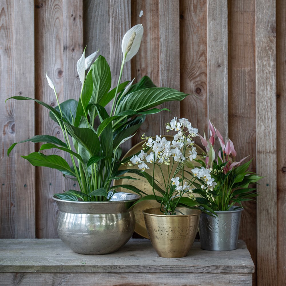 Solid etched brass pot cover