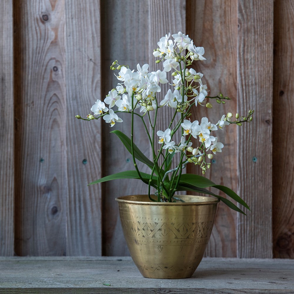Solid etched brass pot cover