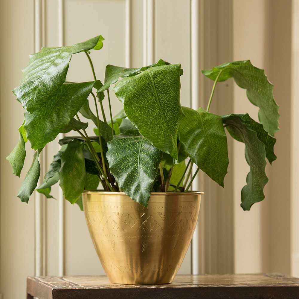 Solid etched brass pot cover
