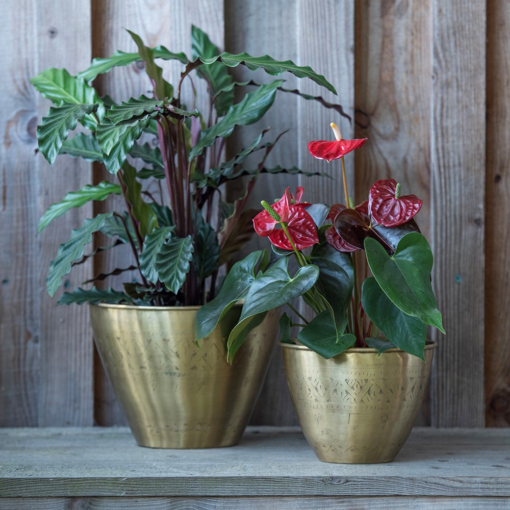 Solid etched brass pot cover
