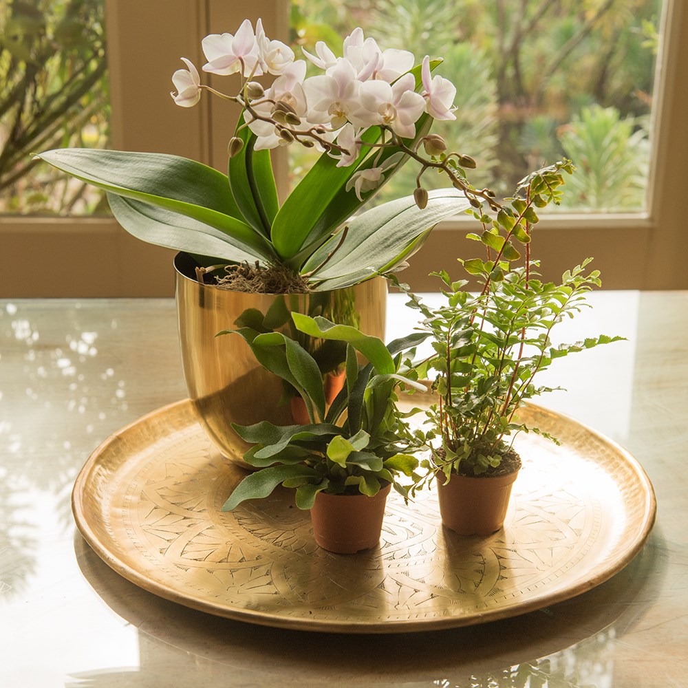 Solid etched brass tray