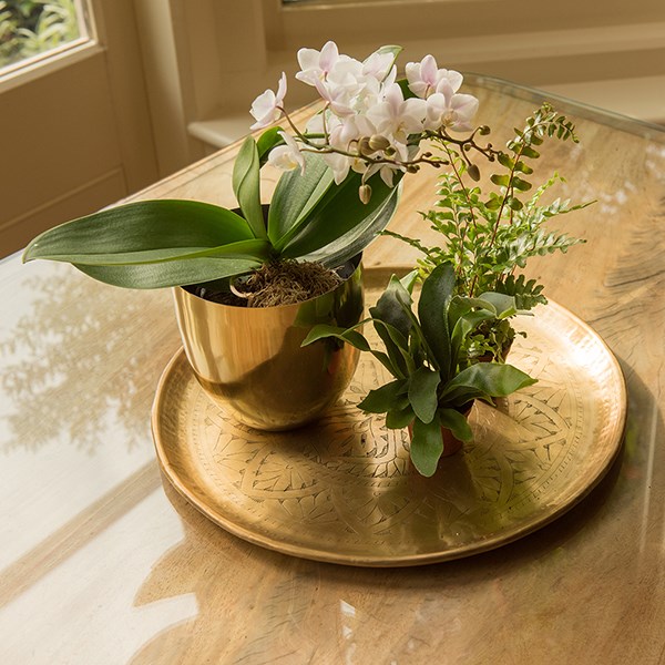 Solid etched brass tray