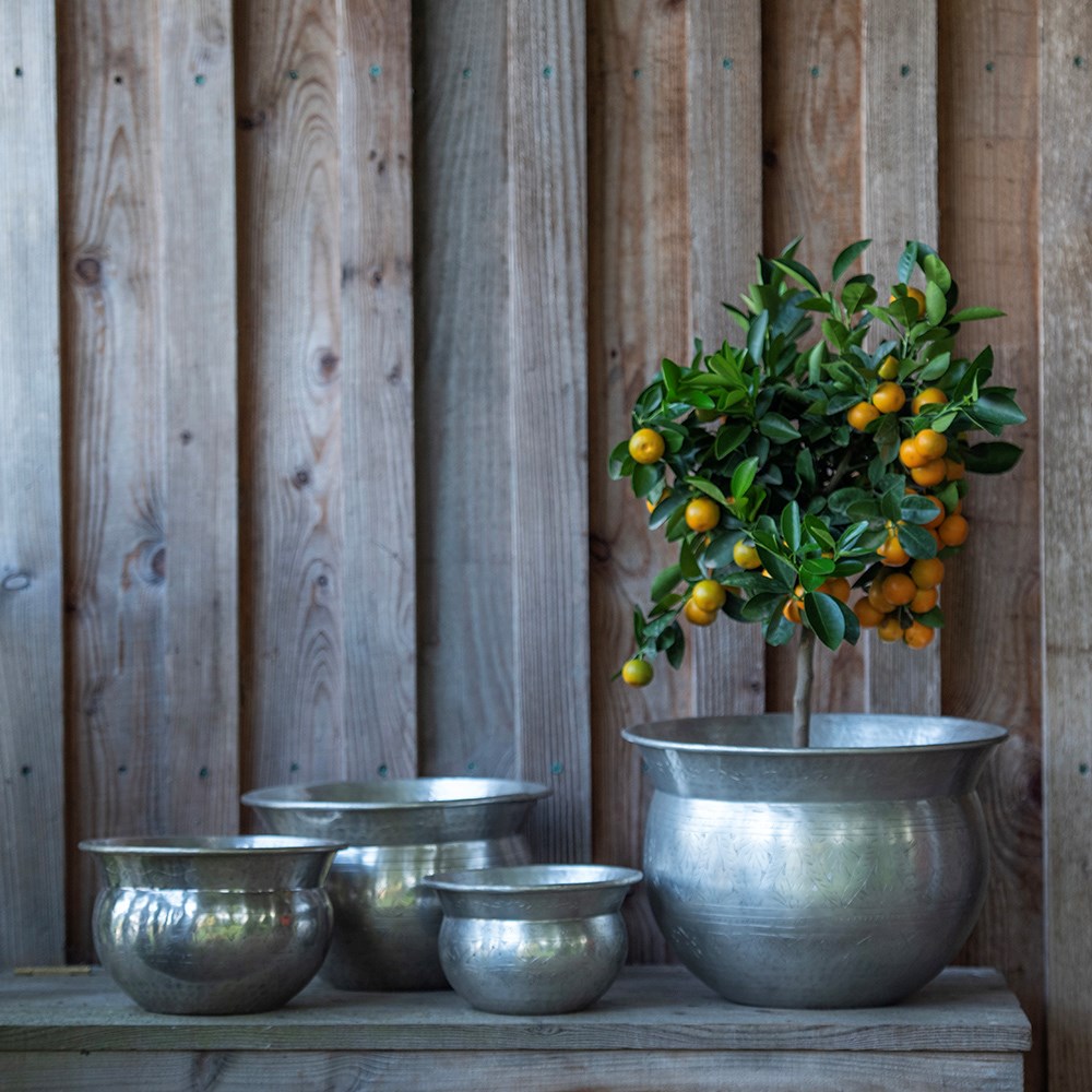 Silver plated brass etched bowl