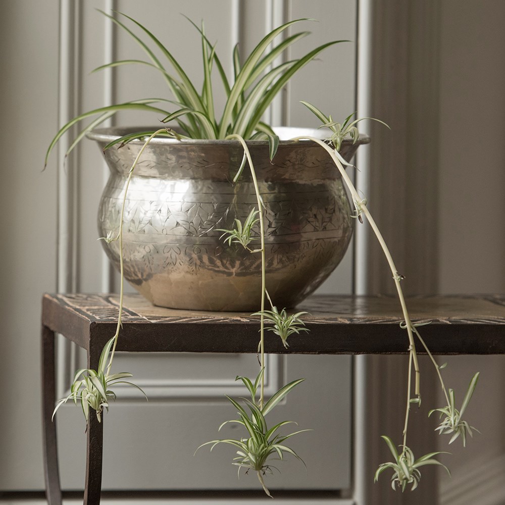 Silver plated brass etched bowl