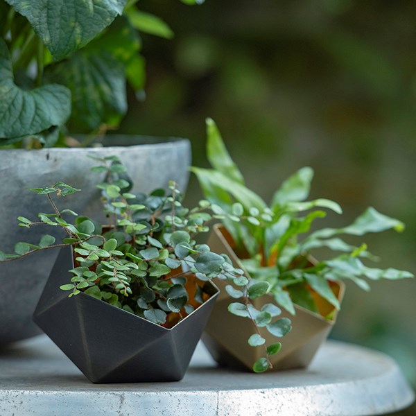 Geo tealight holder