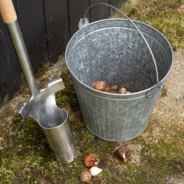 Kent and Stowe stainless steel long handled bulb planter