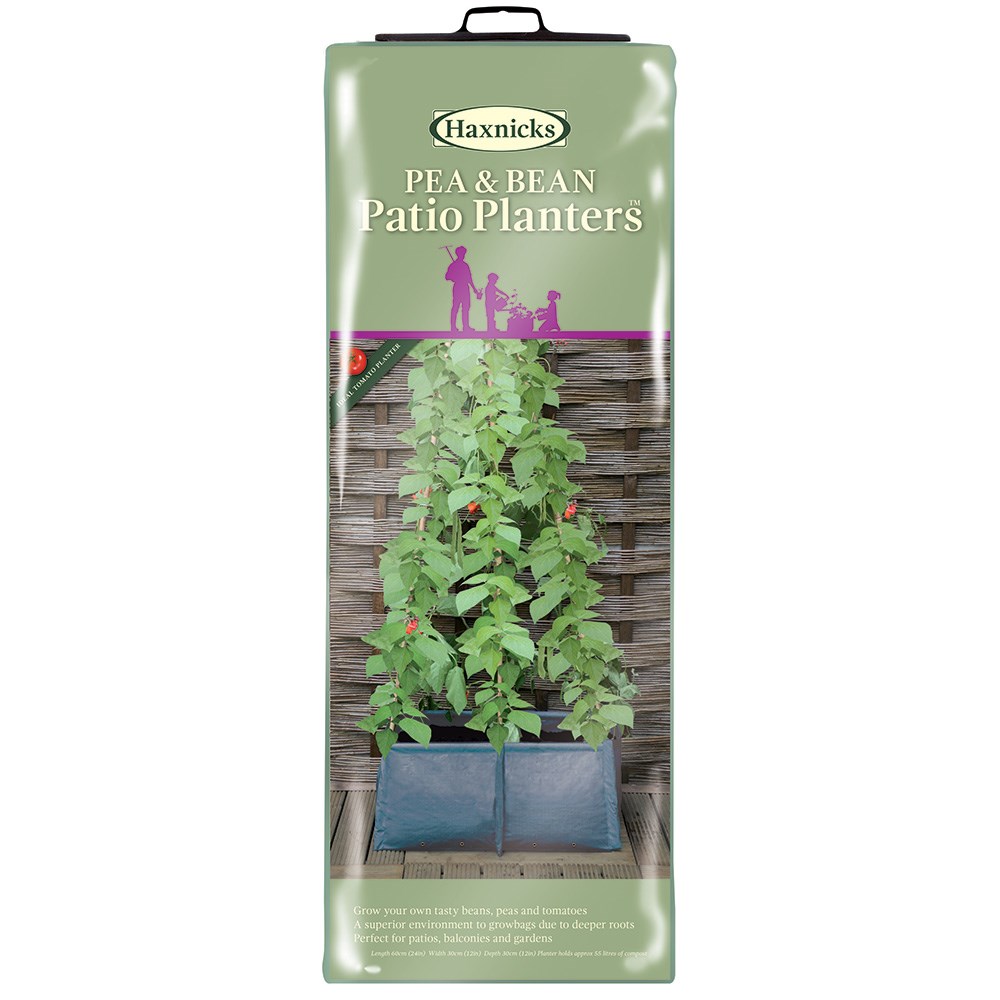 Pea and bean patio planter