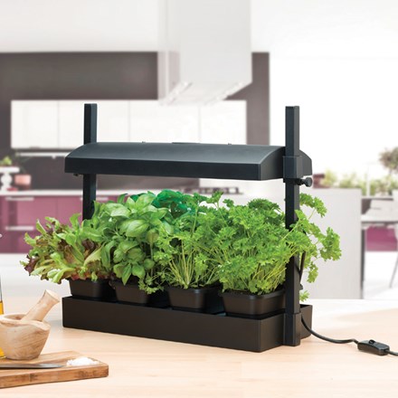 Micro grow light garden - black
