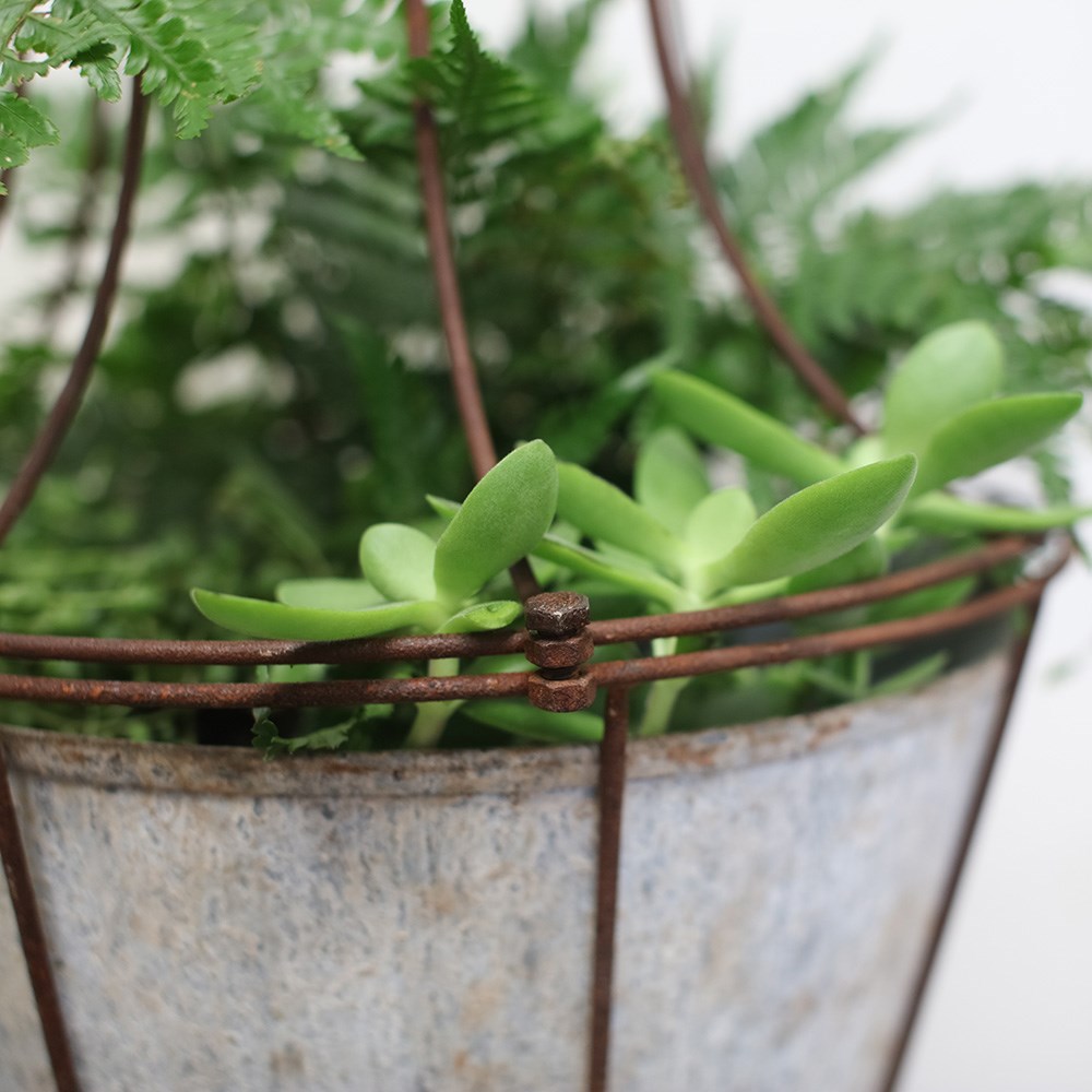 Rustic caged hanging planter