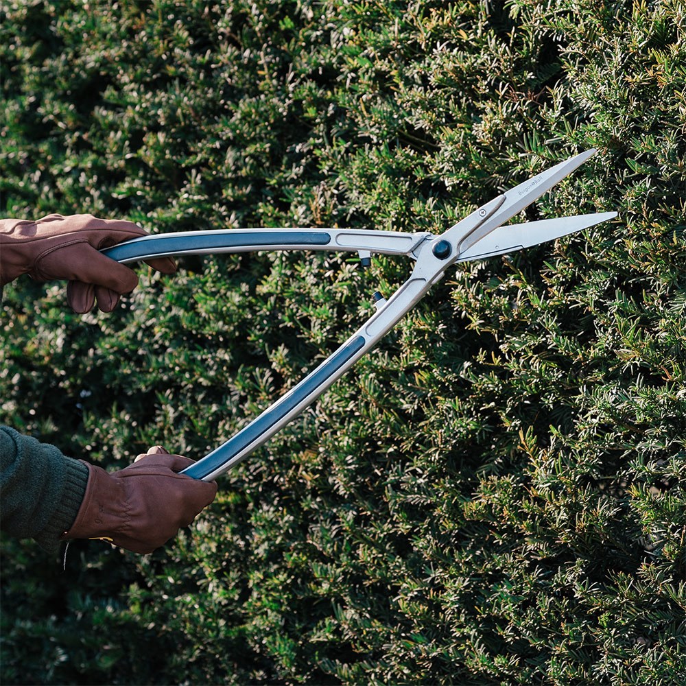 RHS Burgon and Ball precision shears