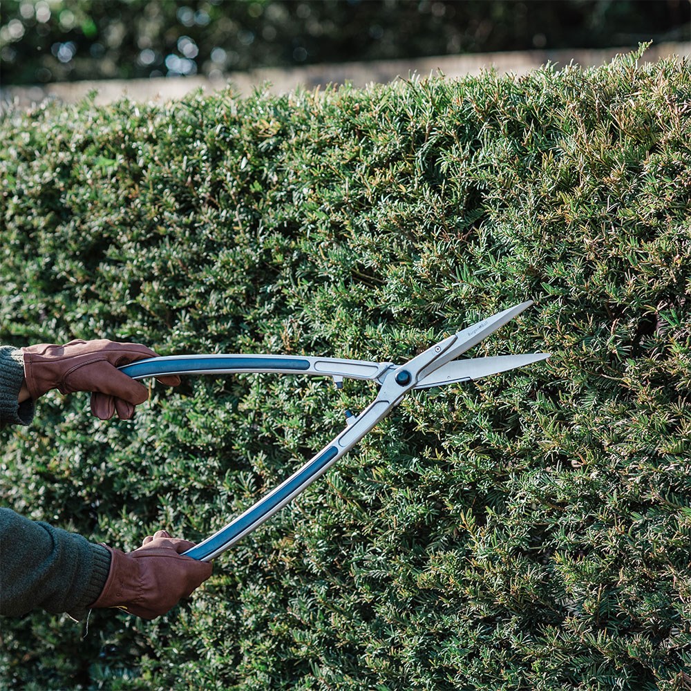 RHS Burgon and Ball precision shears