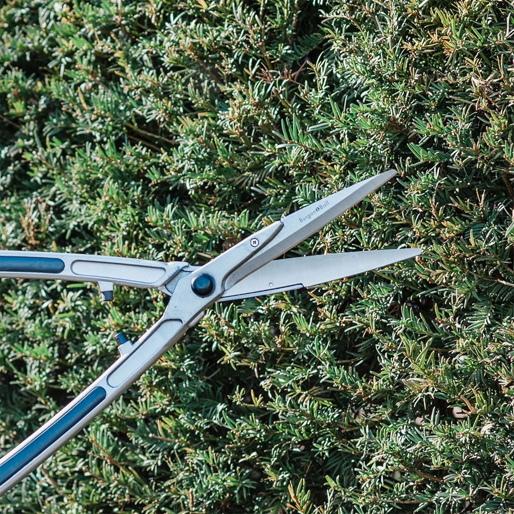 RHS Burgon and Ball precision shears
