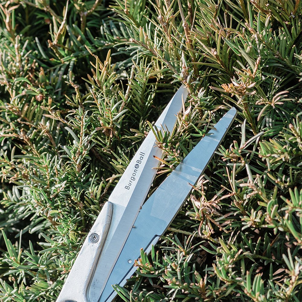 RHS Burgon and Ball precision shears