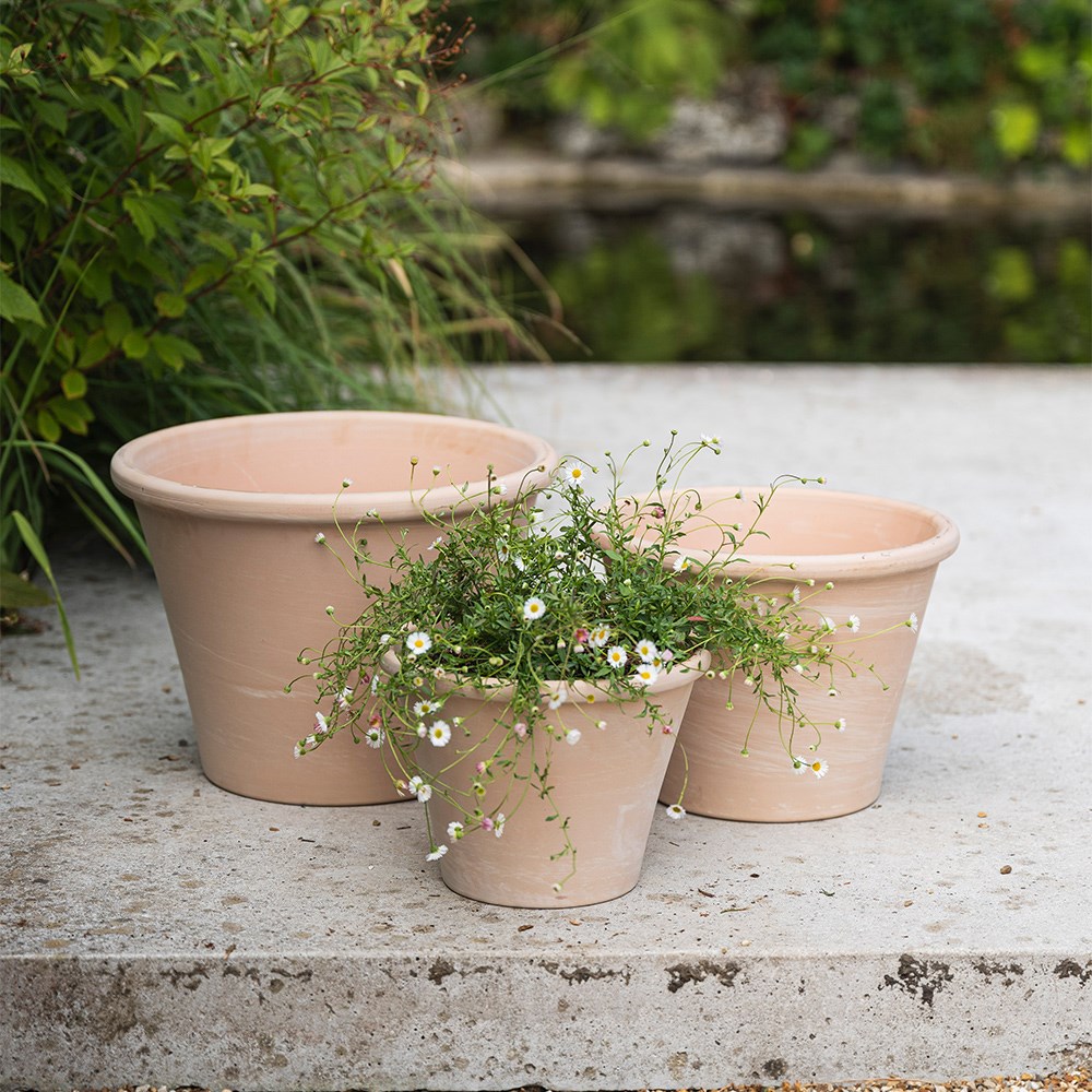 Marbled Italian terracotta pot
