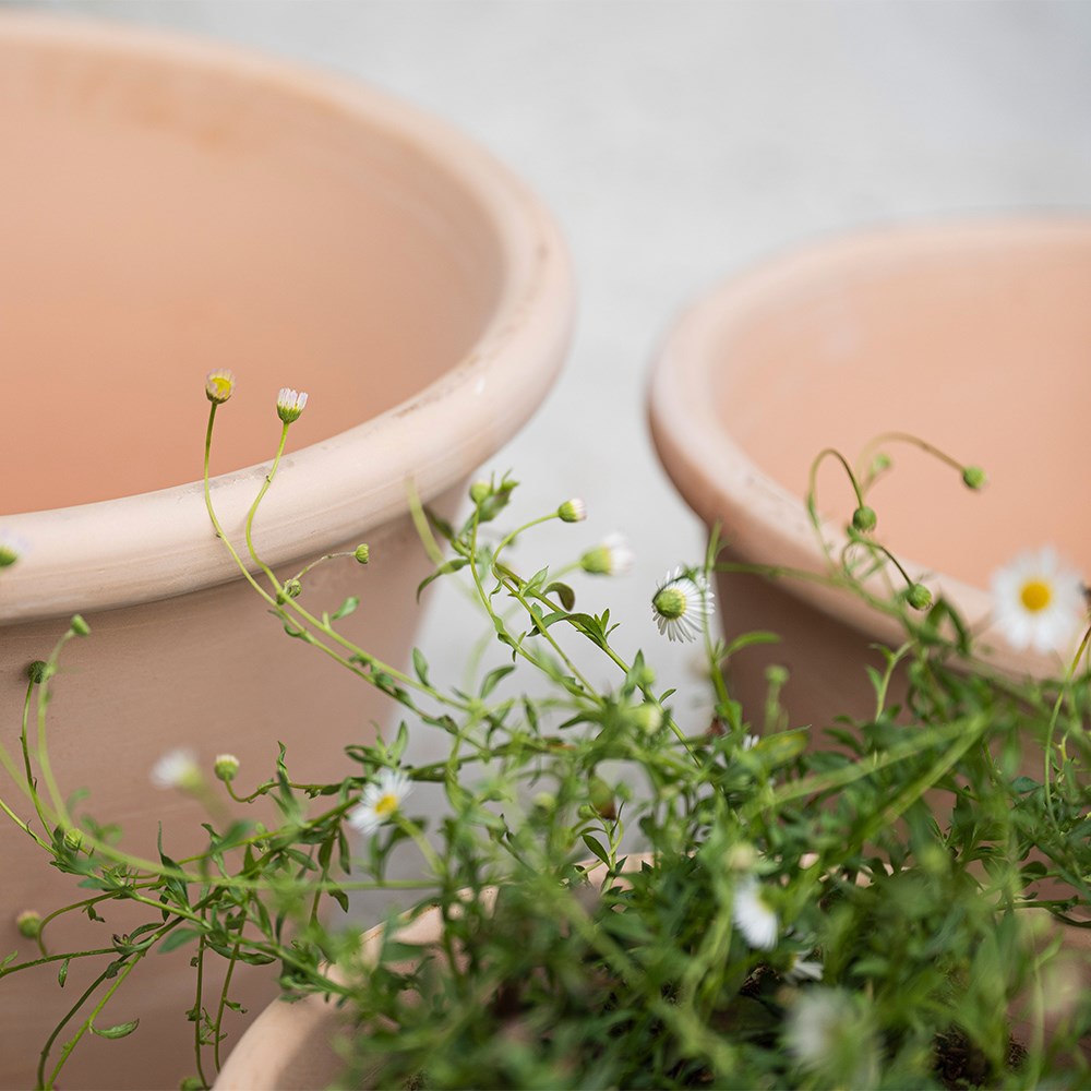 Marbled Italian terracotta pot