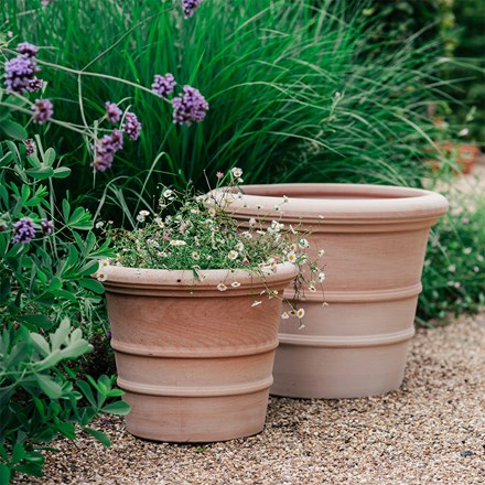 Siena ribbed Italian terracotta pot