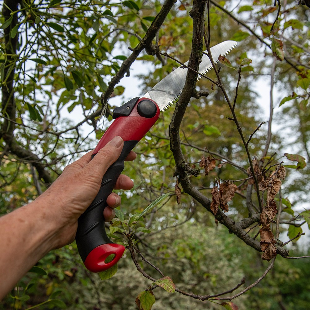 Darlac sabre tooth folding saw