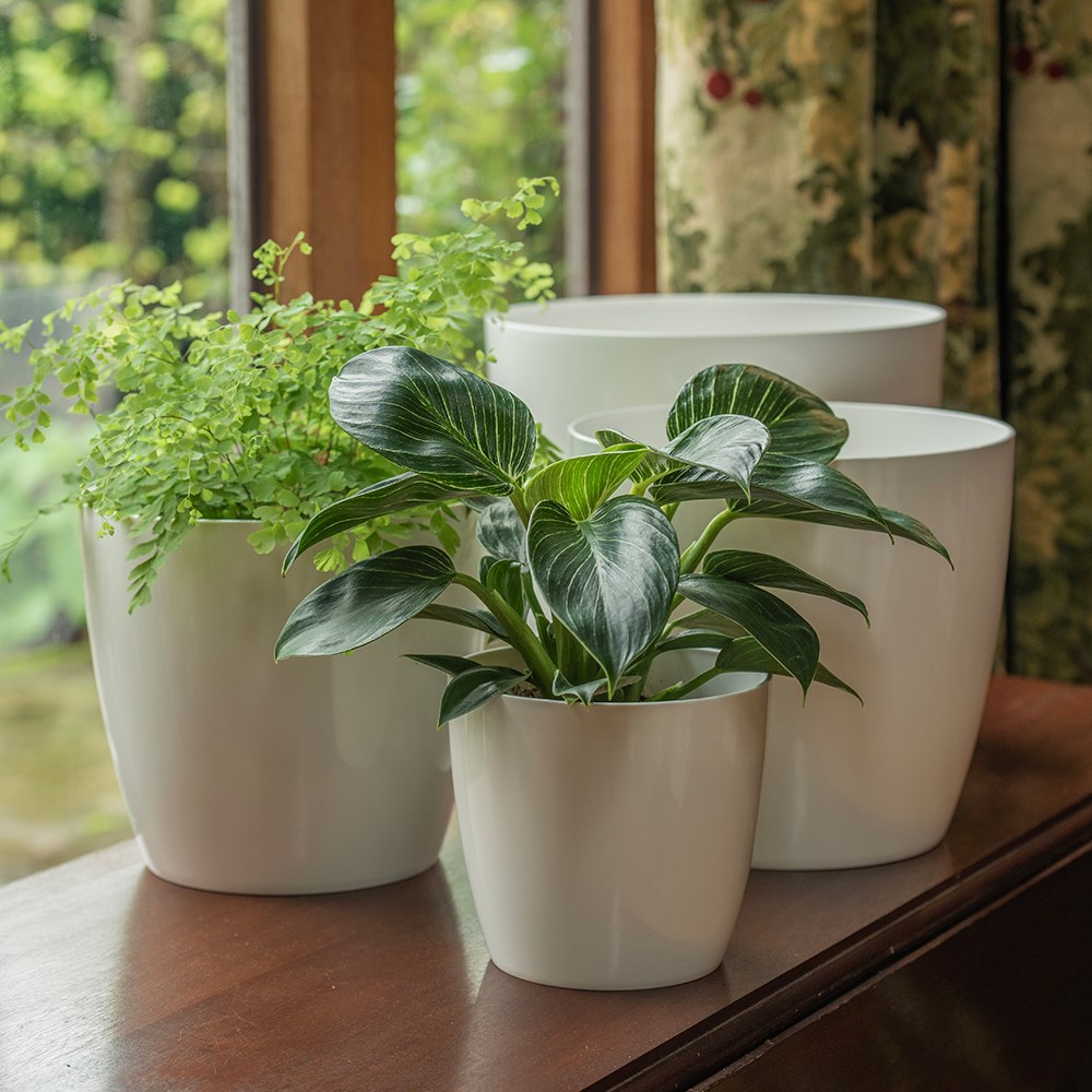 Round gloss plant pot - white