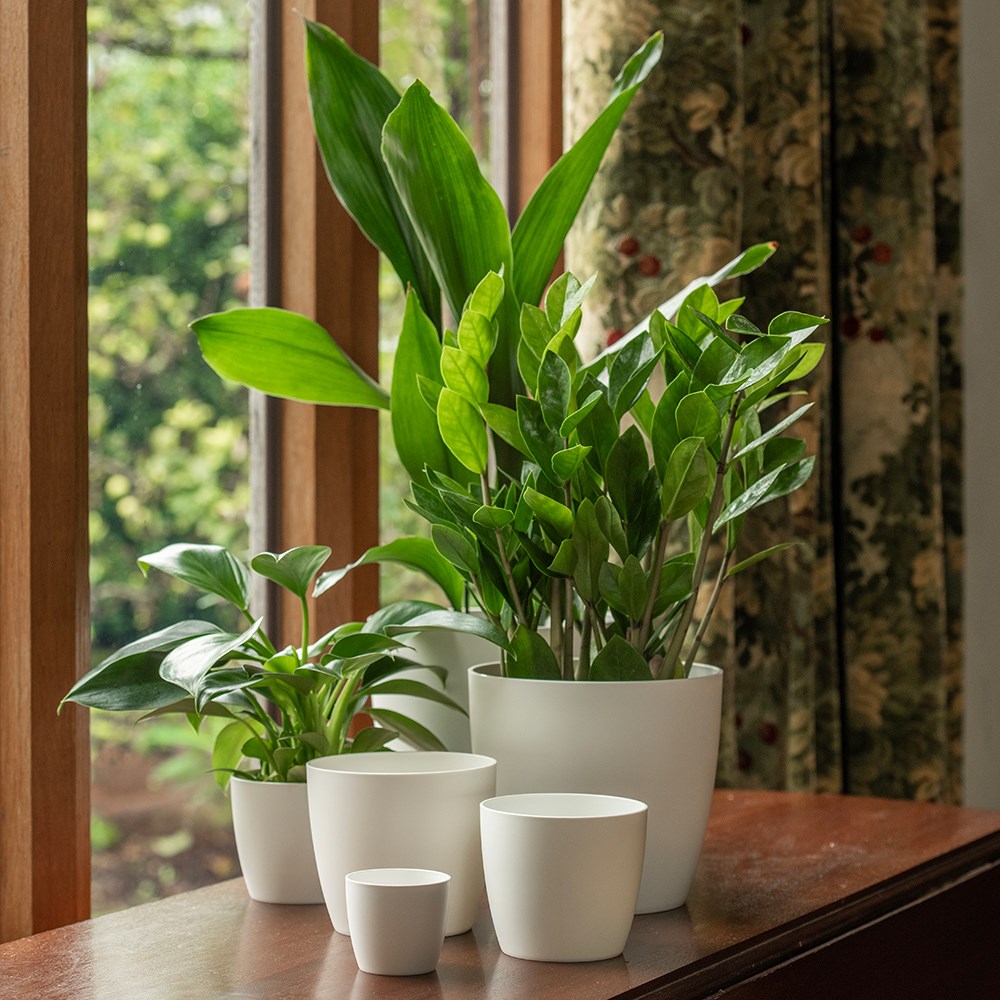 Round plant pot - white