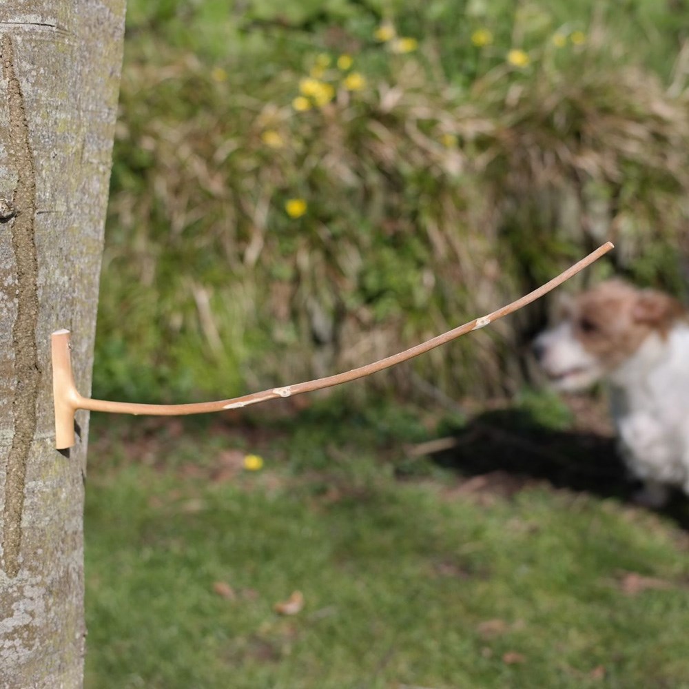 The weatherstick