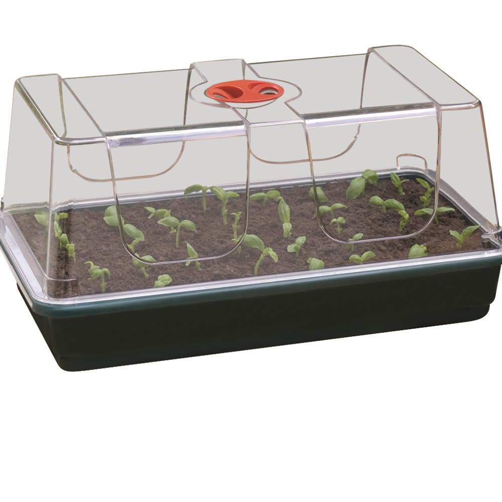 Large high dome propagator