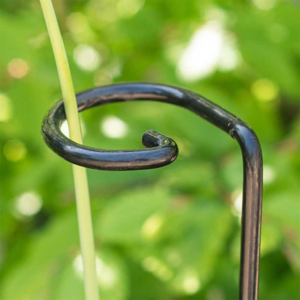 Single plant support ring - black