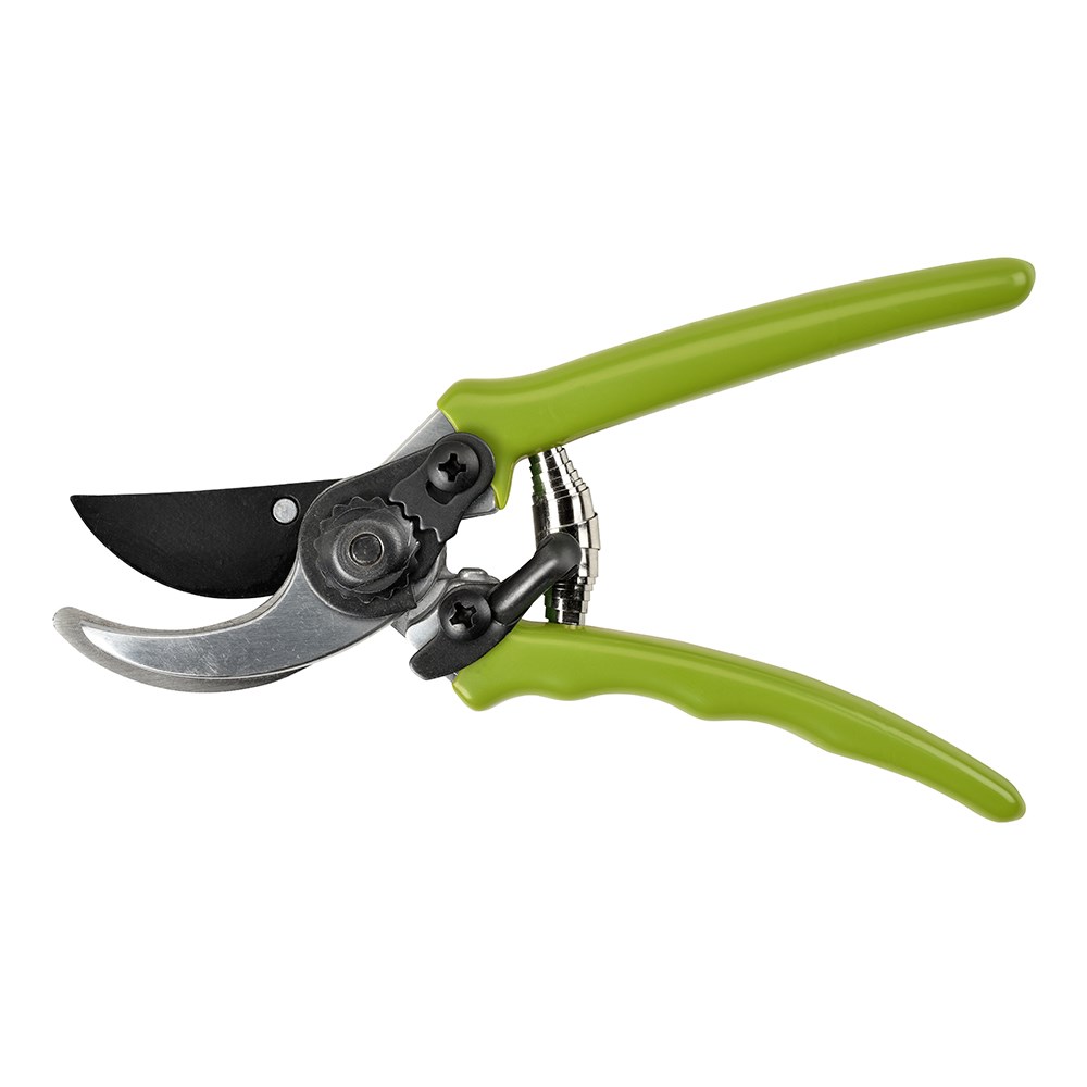 RHS Burgon and Ball micro secateurs