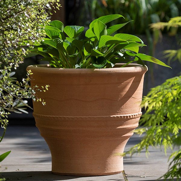 Exara terracotta pot