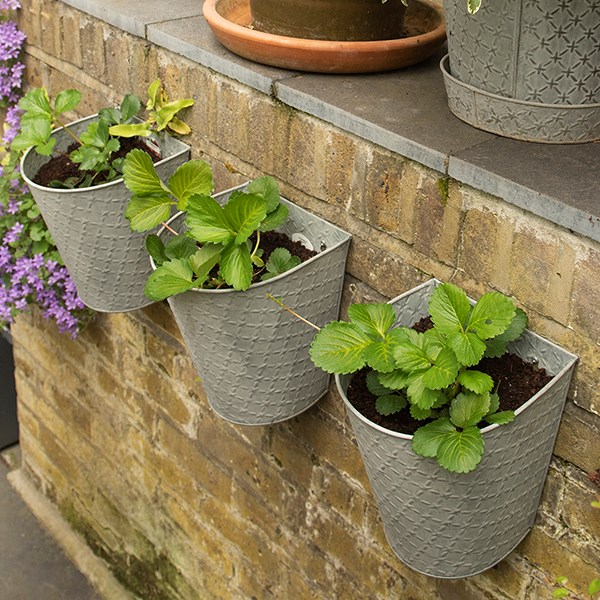 Embossed galvanised metal wall planters aged zinc - set of 3