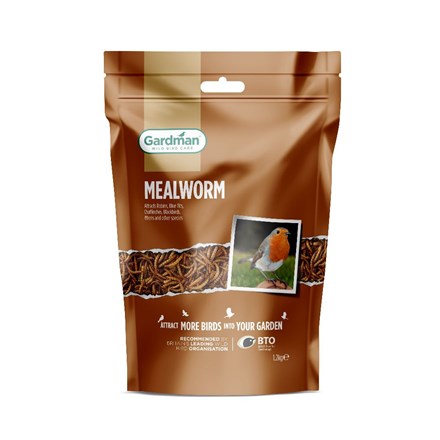 Dried mealworms 