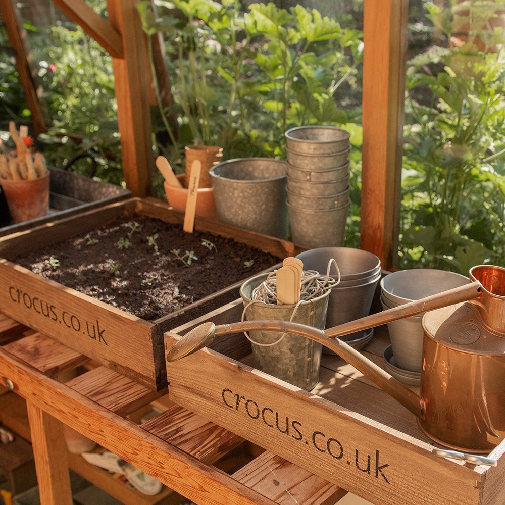 Wooden seed tray