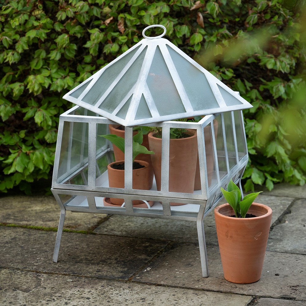 Square Victorian growhouse - chalky white
