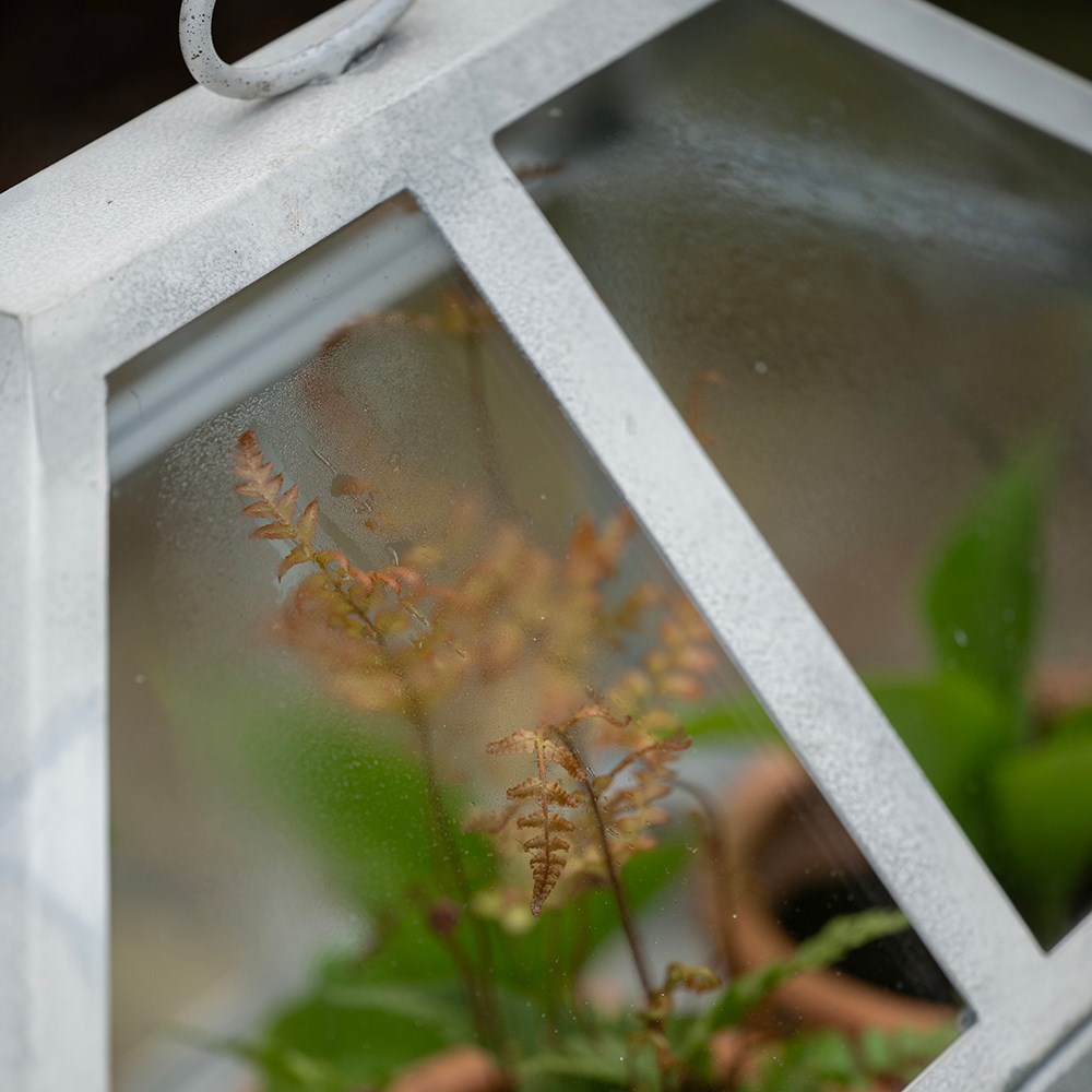 Rectangular Victorian growhouse - chalky white