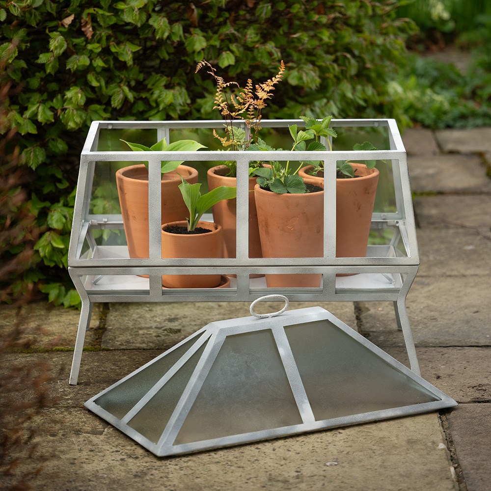 Rectangular Victorian growhouse - chalky white