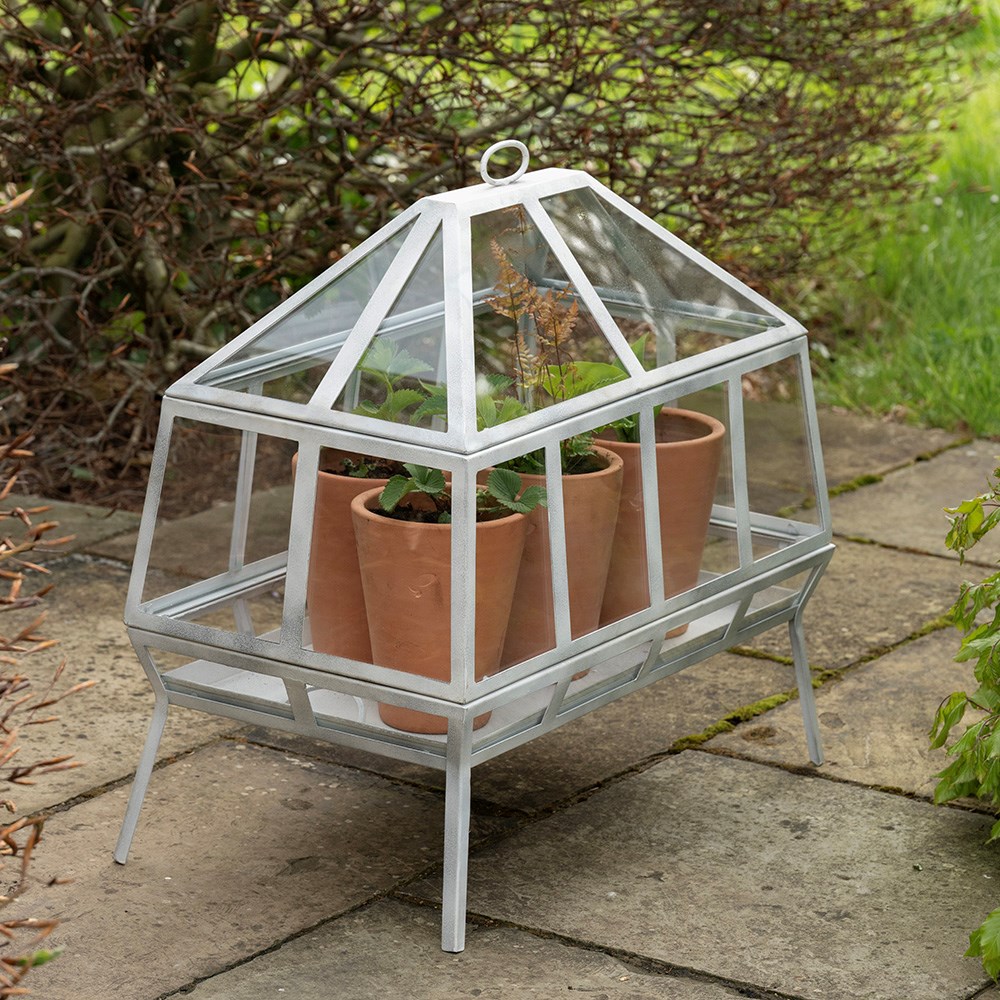 Rectangular Victorian growhouse - chalky white