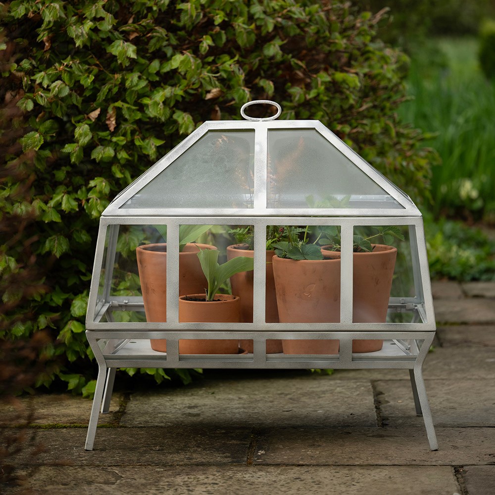 Rectangular Victorian growhouse - chalky white