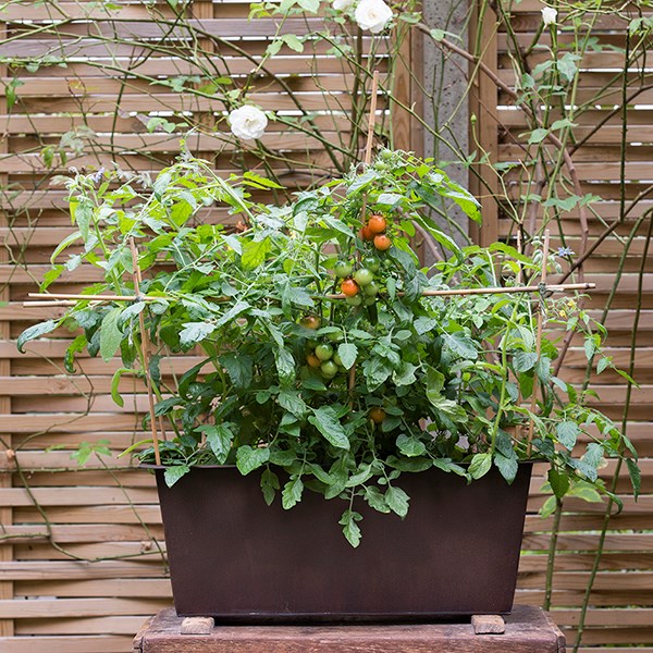 Plant trough - dark rust