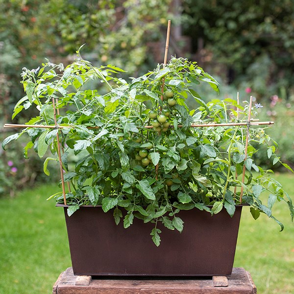 Plant trough - dark rust