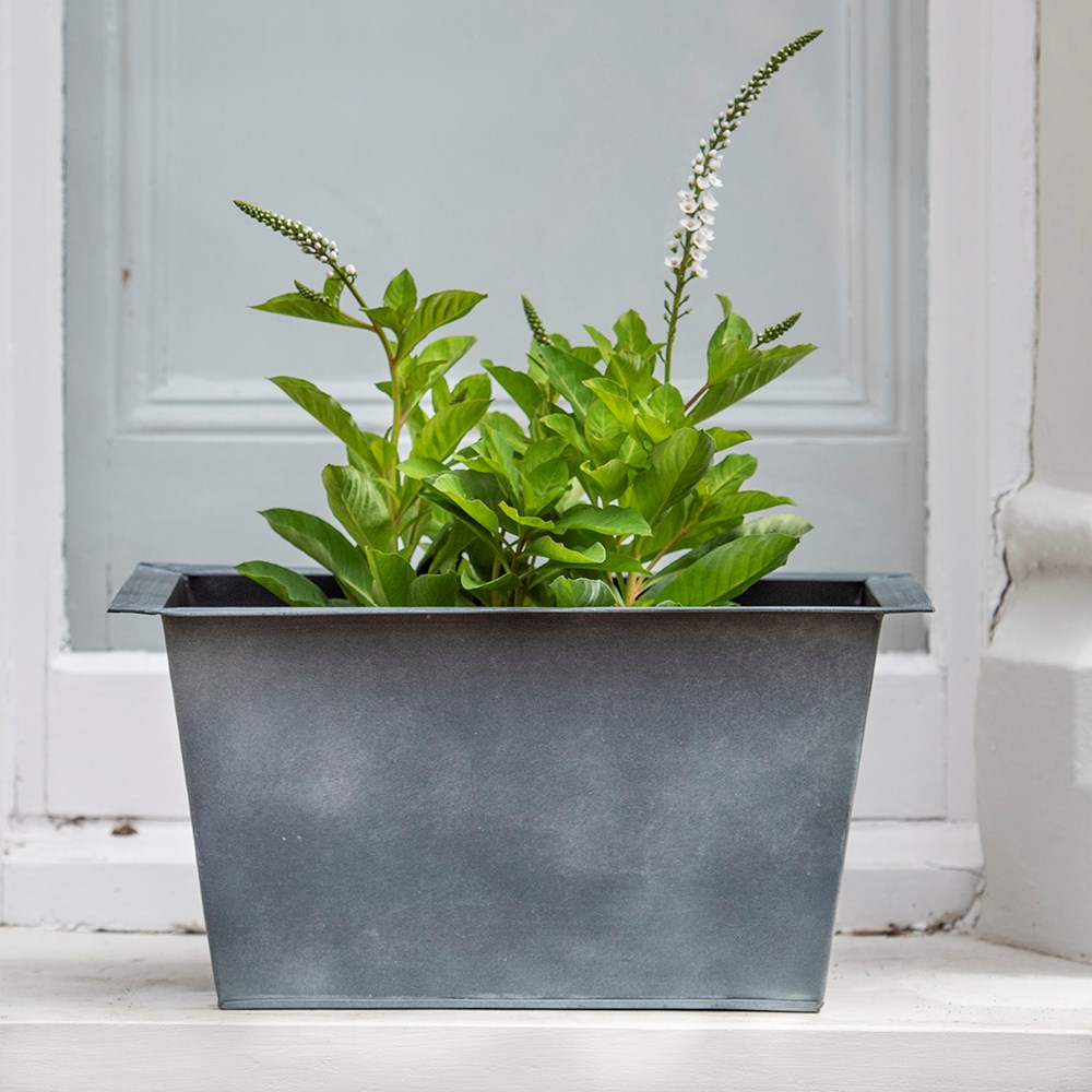 Plant trough - aged zinc