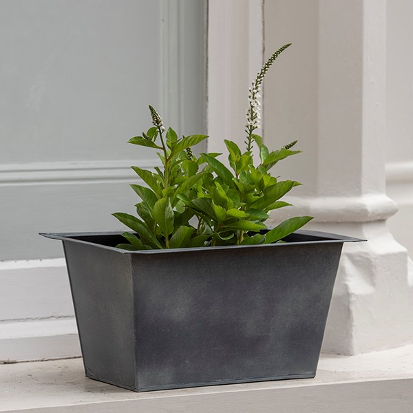 Plant trough - aged zinc