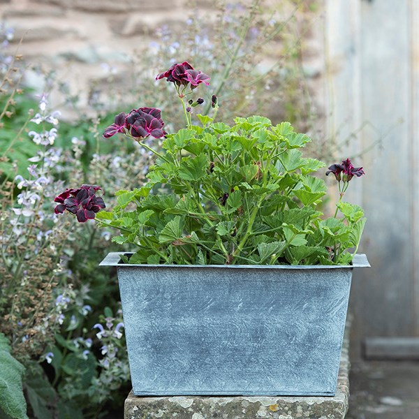 Plant trough - aged zinc