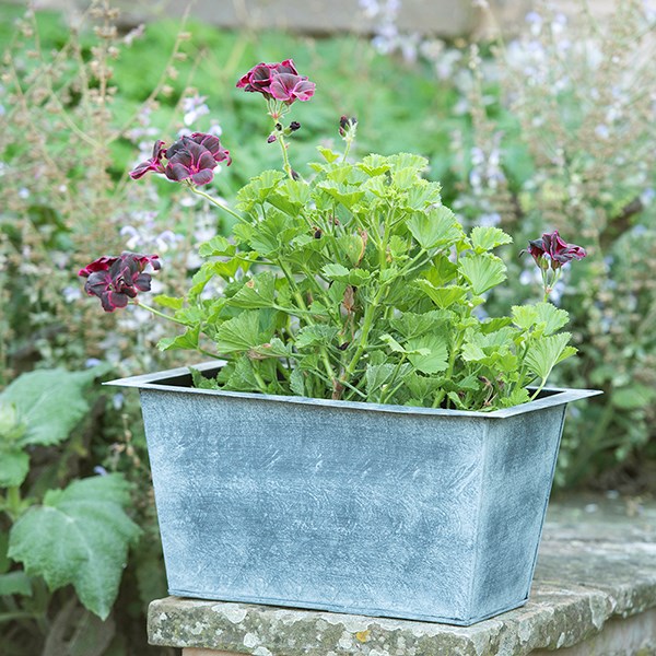 Plant trough - aged zinc