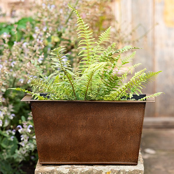 Plant trough - dark rust