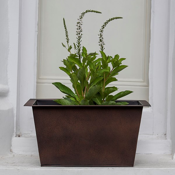 Plant trough - dark rust
