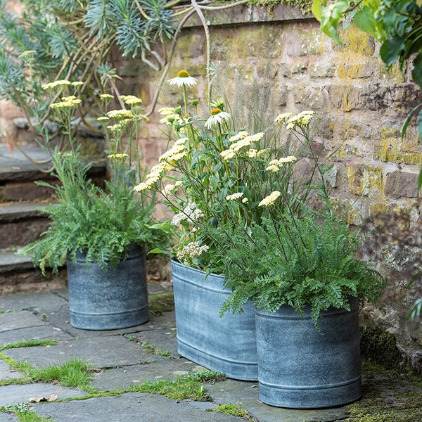 Galvanised metal planter and trough set - aged zinc