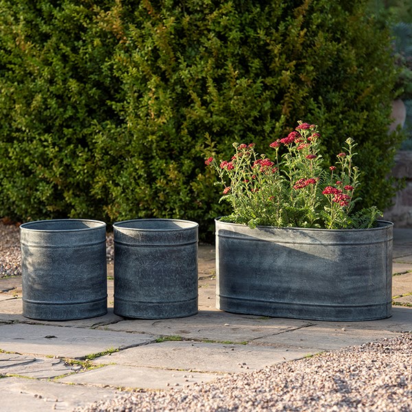 Galvanised metal planter and trough set - aged zinc