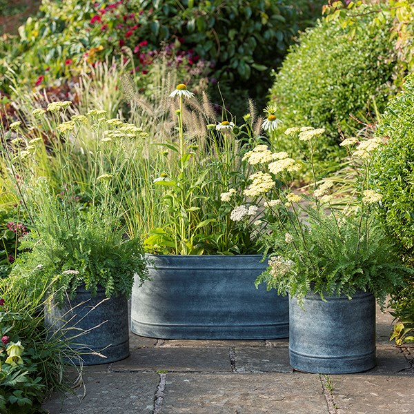 Galvanised metal planter and trough set - aged zinc