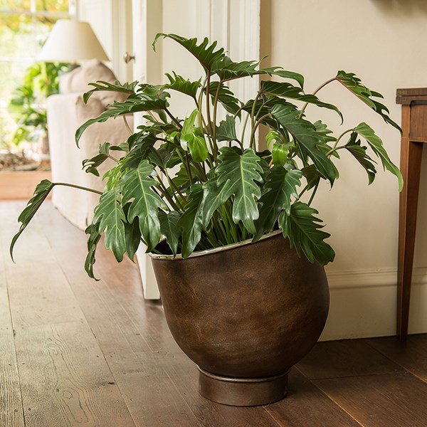 Aluminium Urb pot - dark rust